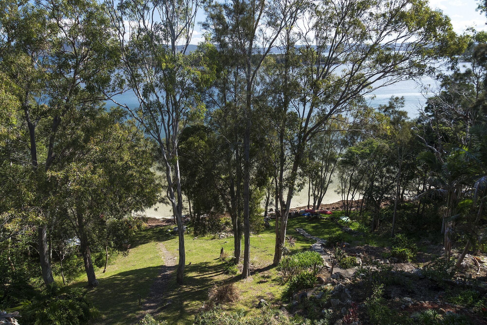 A natural landscape with trees and a path leading to a beach.