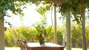 An outdoor patio with a wooden table and chairs, a potted plant, and a pergola structure.