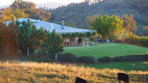 A rural house with a covered porch, surrounded by a grassy field and trees.