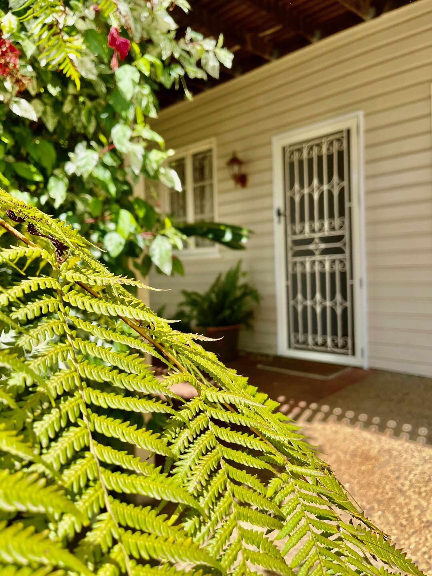 Margaret House Holiday Apartment — image 17