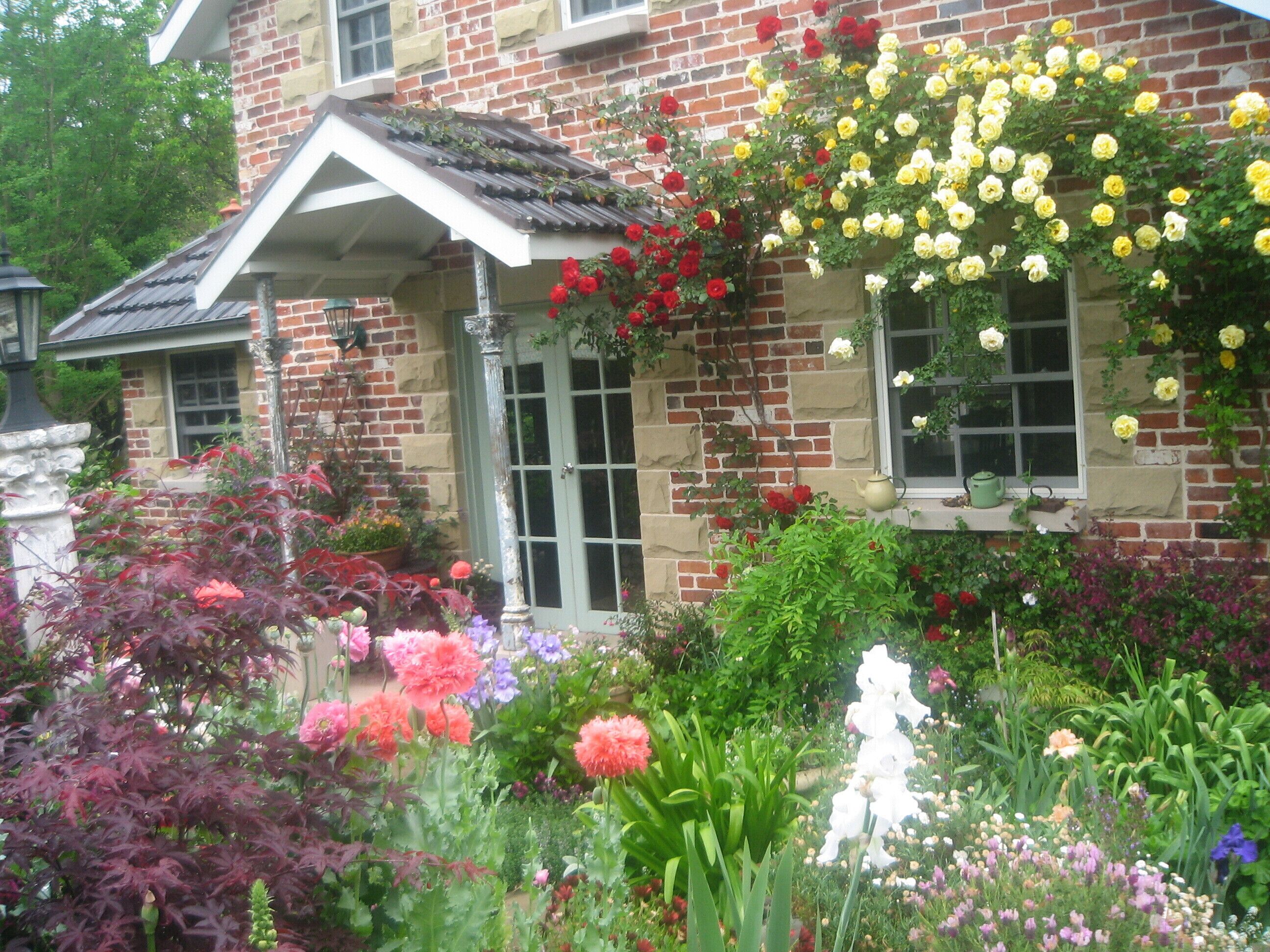 summer cottage garden