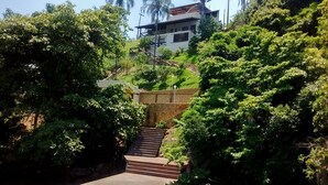 Un escalier menant à un bâtiment entouré d’une végétation luxuriante.