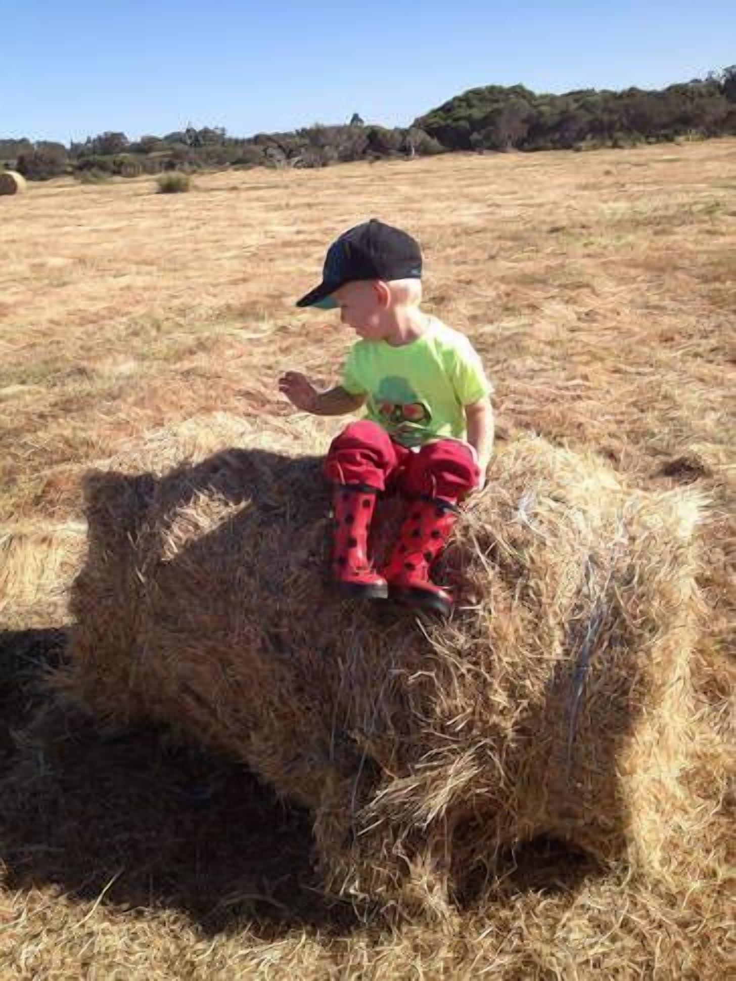 Ibis Park Farmstay - Mandurah Region — image 7