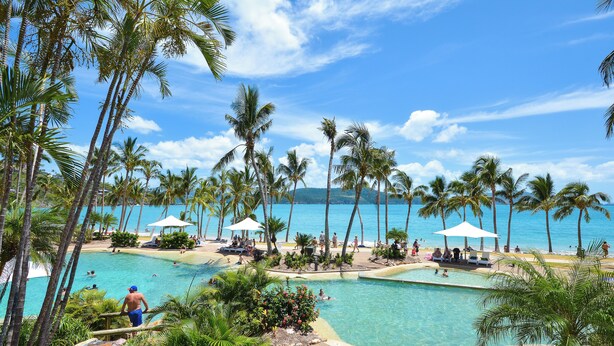A pool area with palm trees, lounge chairs, and umbrellas. - Lagoon 006 Hamilton Island by HamoRent (Hamilton Island)