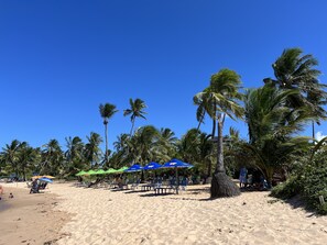 Chaises longues, serviettes de plage