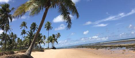 Sun-loungers, beach towels