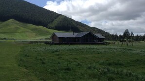 Eksteriør