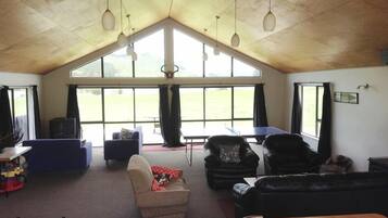 Fireplace, DVD player, ping pong, books