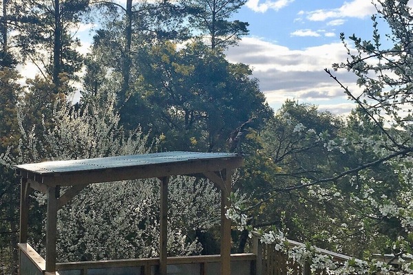 8 person hot tub in private gazebo
