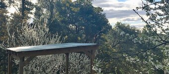 Salt Spring Art Retreat;