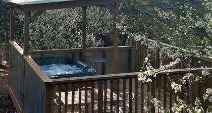 Salt Spring Art Retreat;