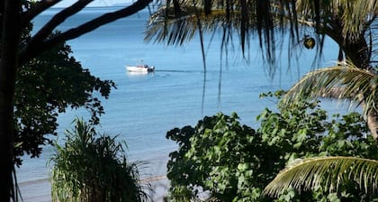 Jahreszeiten am South Mission Beach - Just Paradise