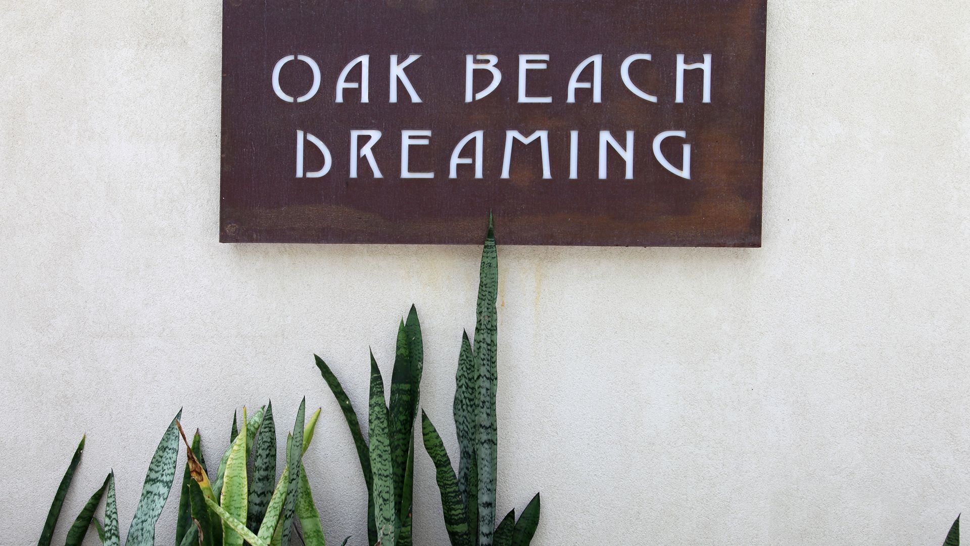 Oak Beach Dreaming__ — image 25