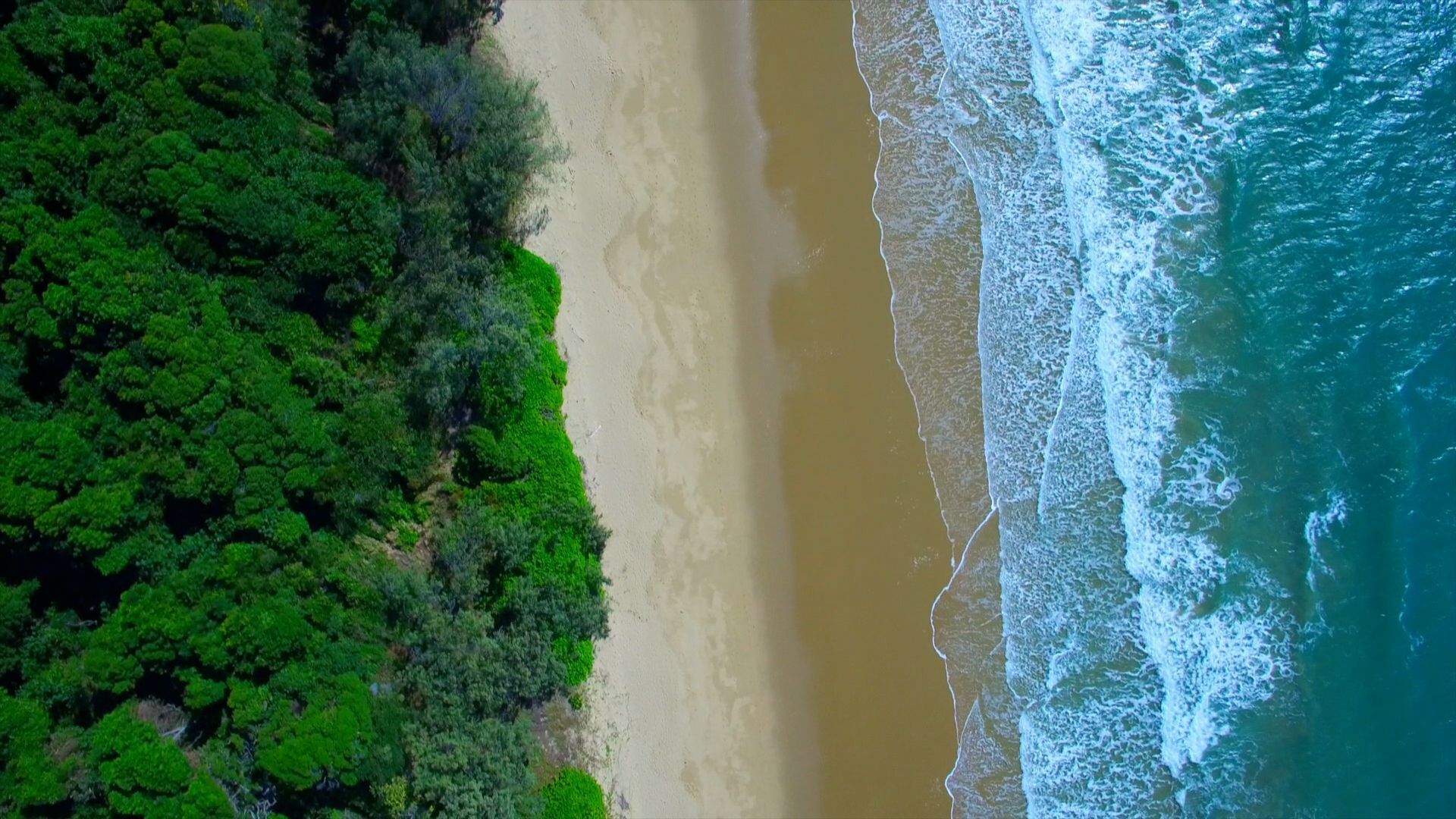 Oak Beach Dreaming__ — image 6