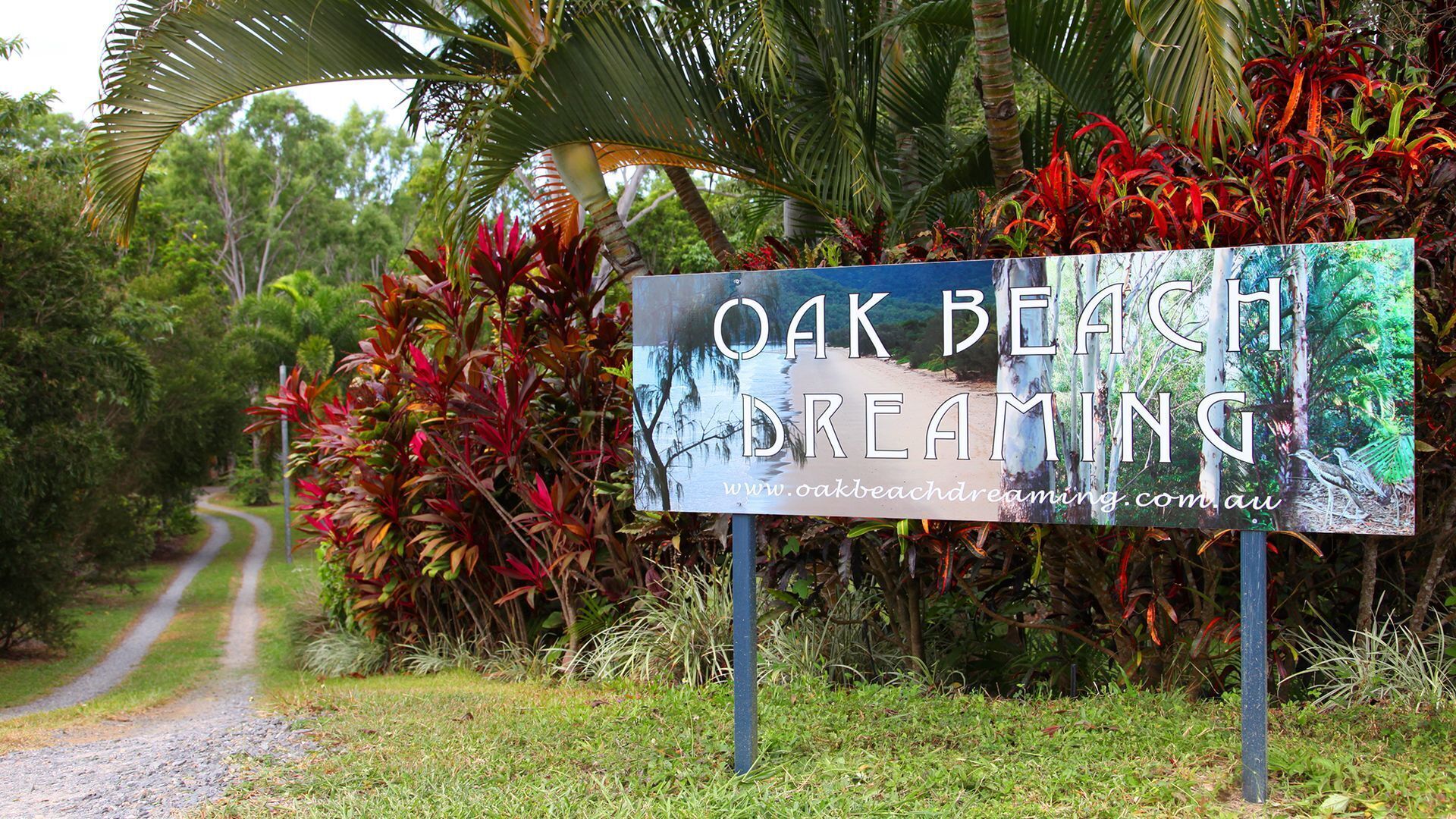 Oak Beach Dreaming__ — image 26