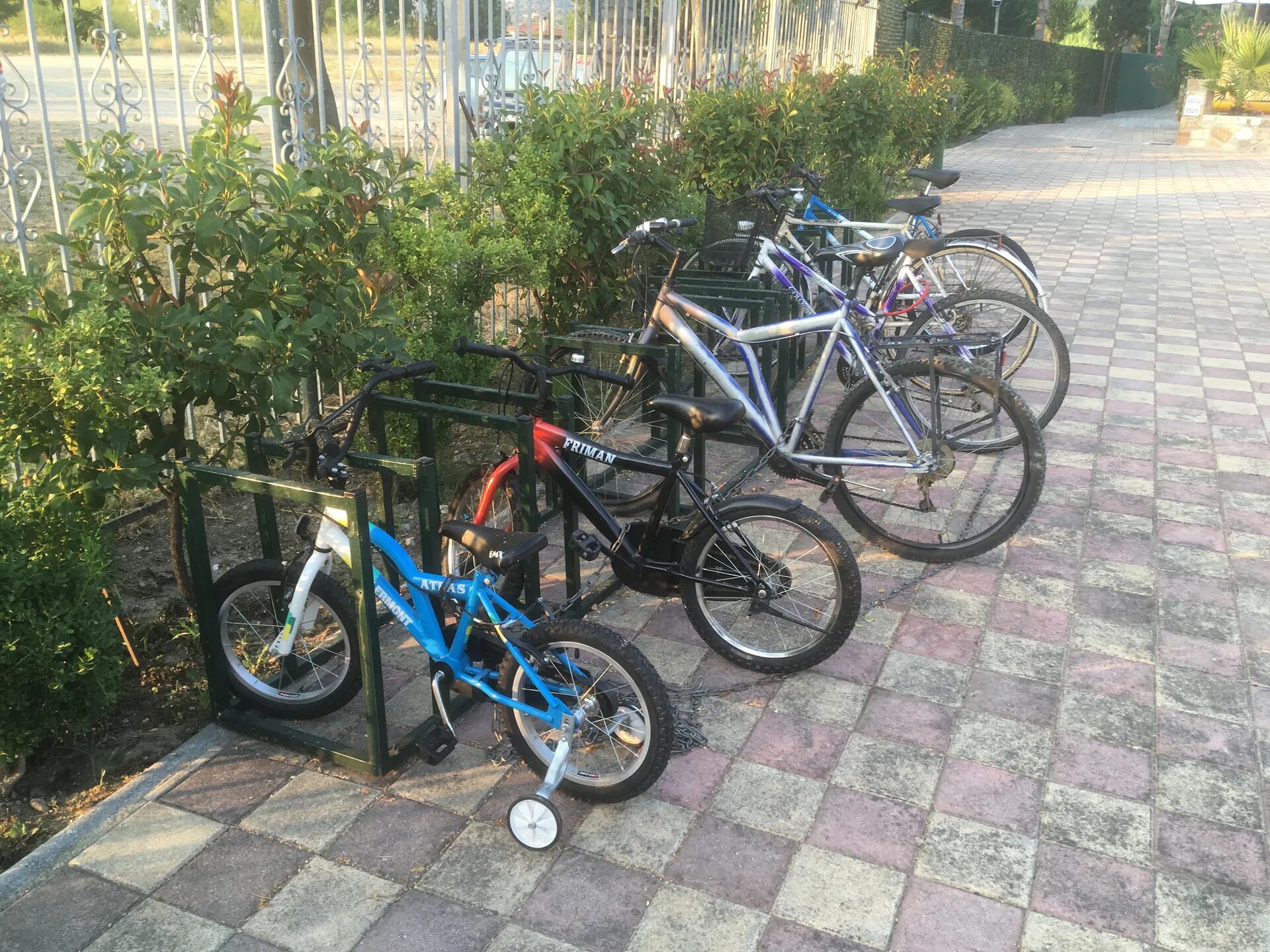Bicycles parked on a paved area with a metal fence and greenery in the background.