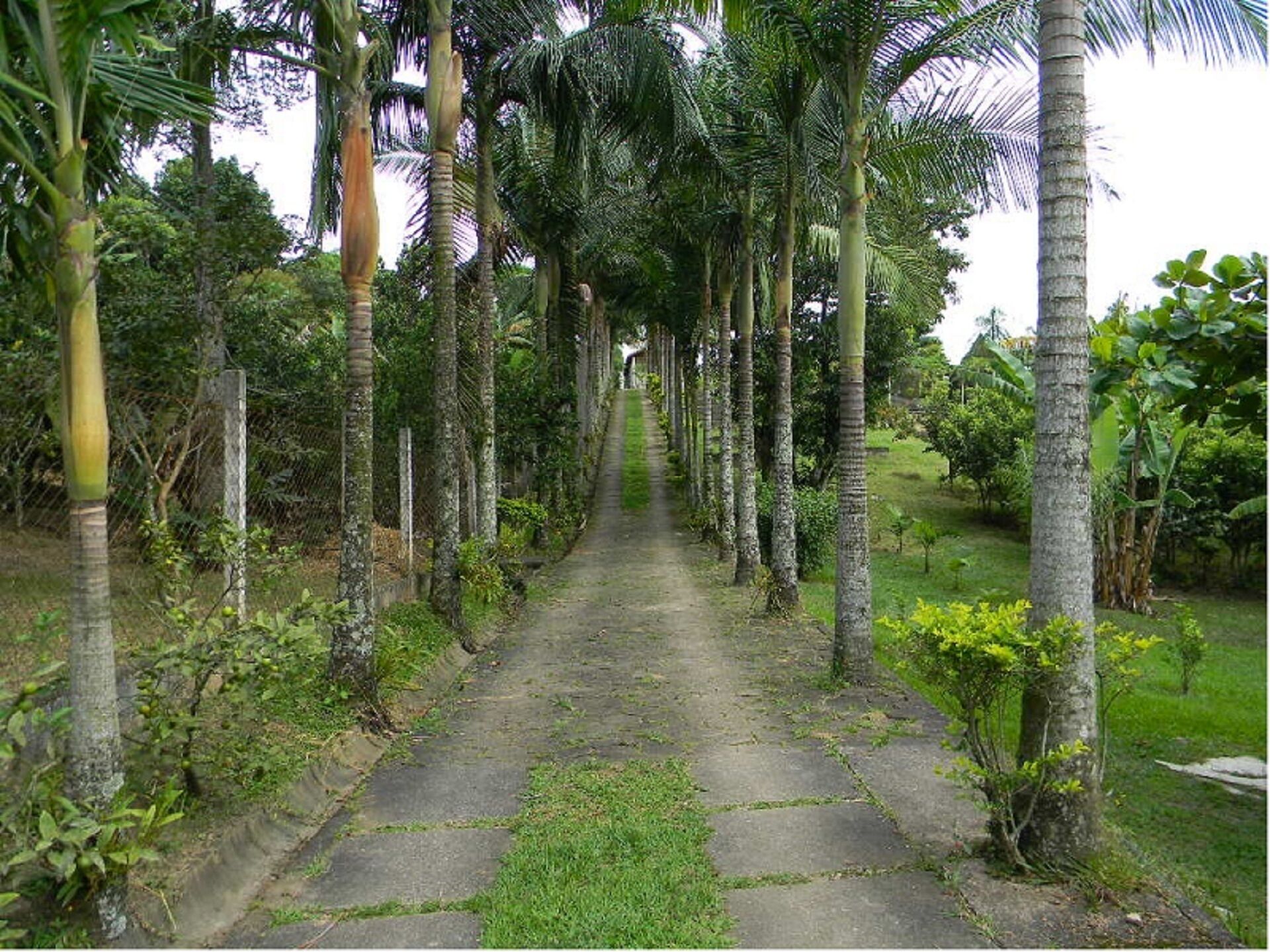 Excellent Country House with Beautiful Chapel and Complete Leisure - GREAT FOR PARTIES !!!