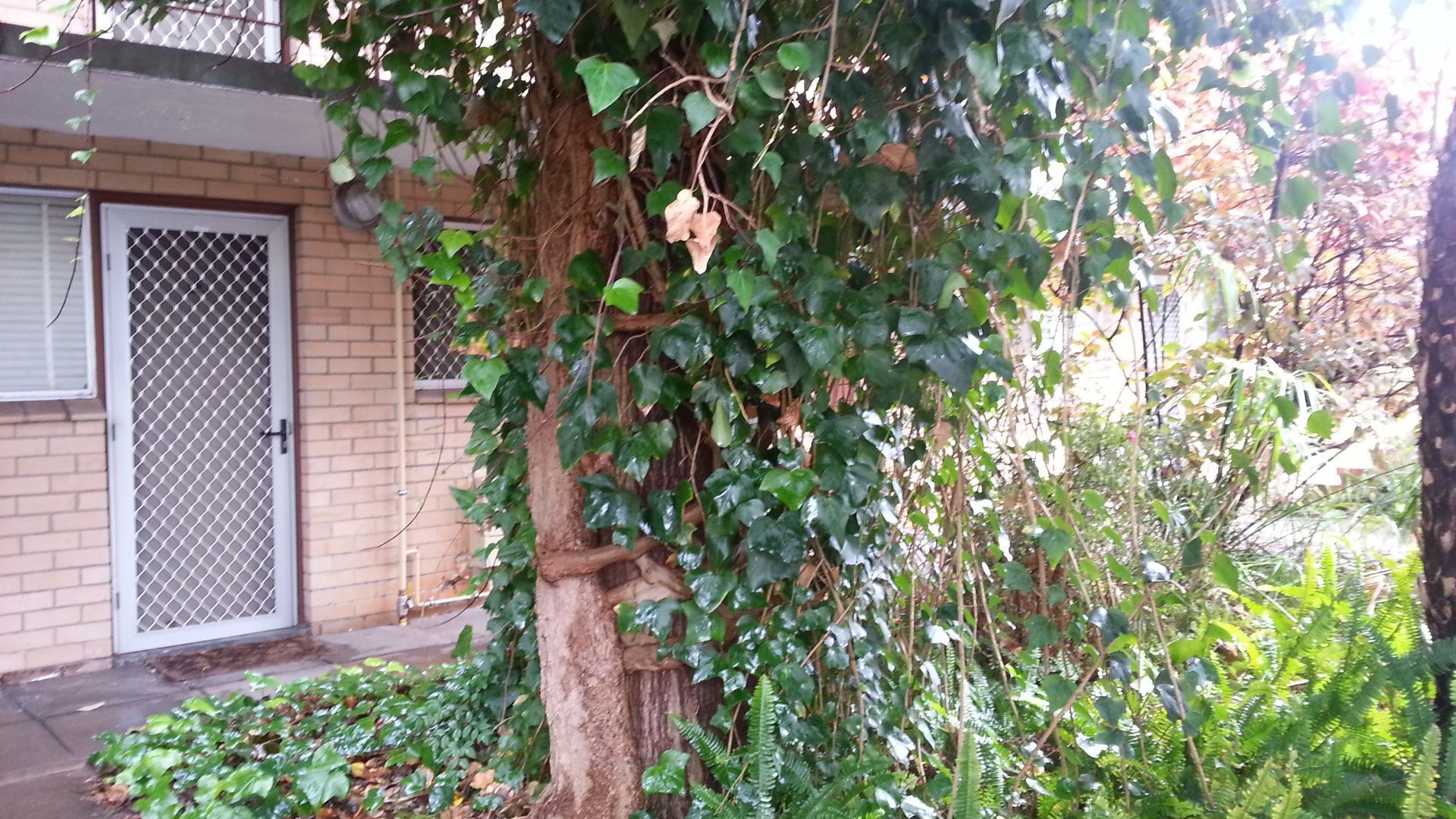 Whatley Court New York Styled self contained flat — image 11