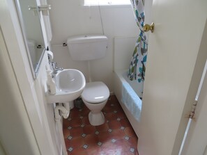 Combined shower/bathtub, hair dryer, towels, soap - THE BLUE TRIANGLE - two storey sunny bach (Raumati Beach)