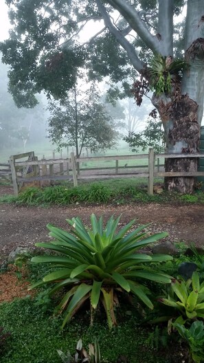 Property grounds - Kyvale Cottage - Country retreat (The Pocket)