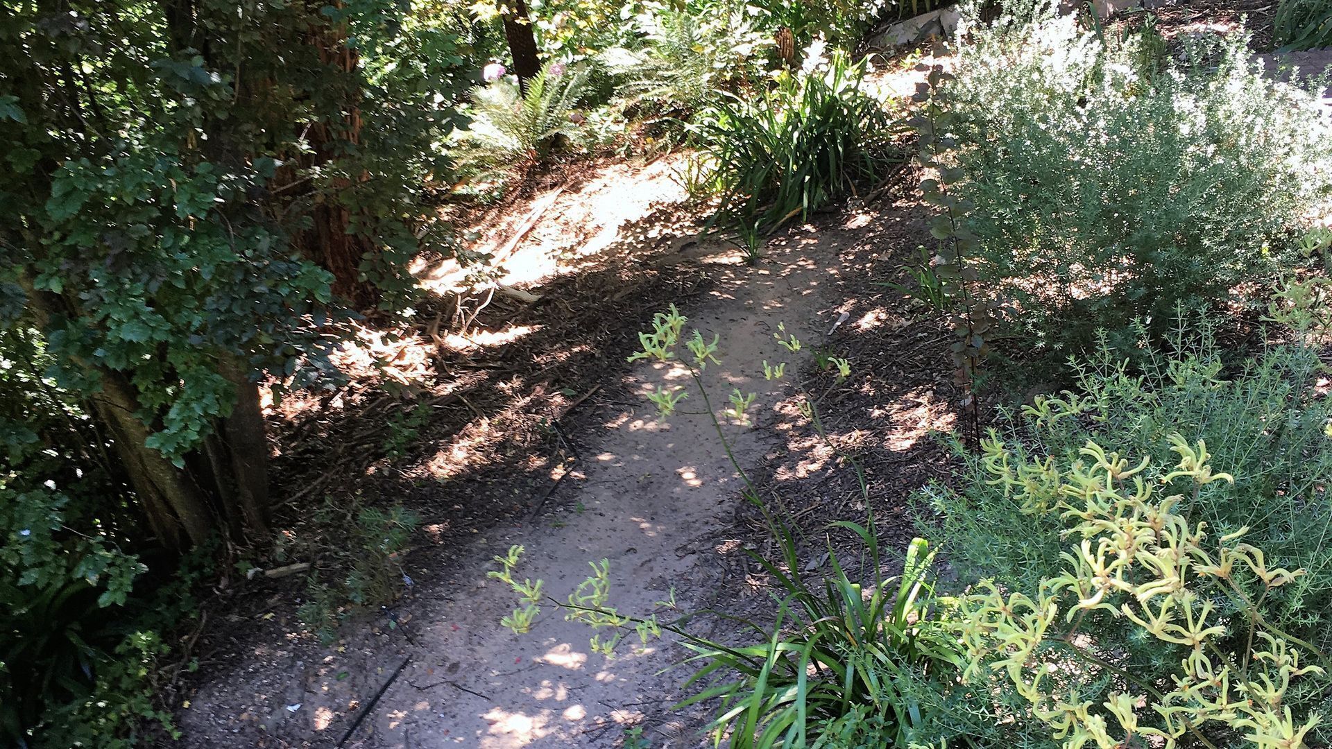 HILLTOP B&B Adelaide Hills — image 12