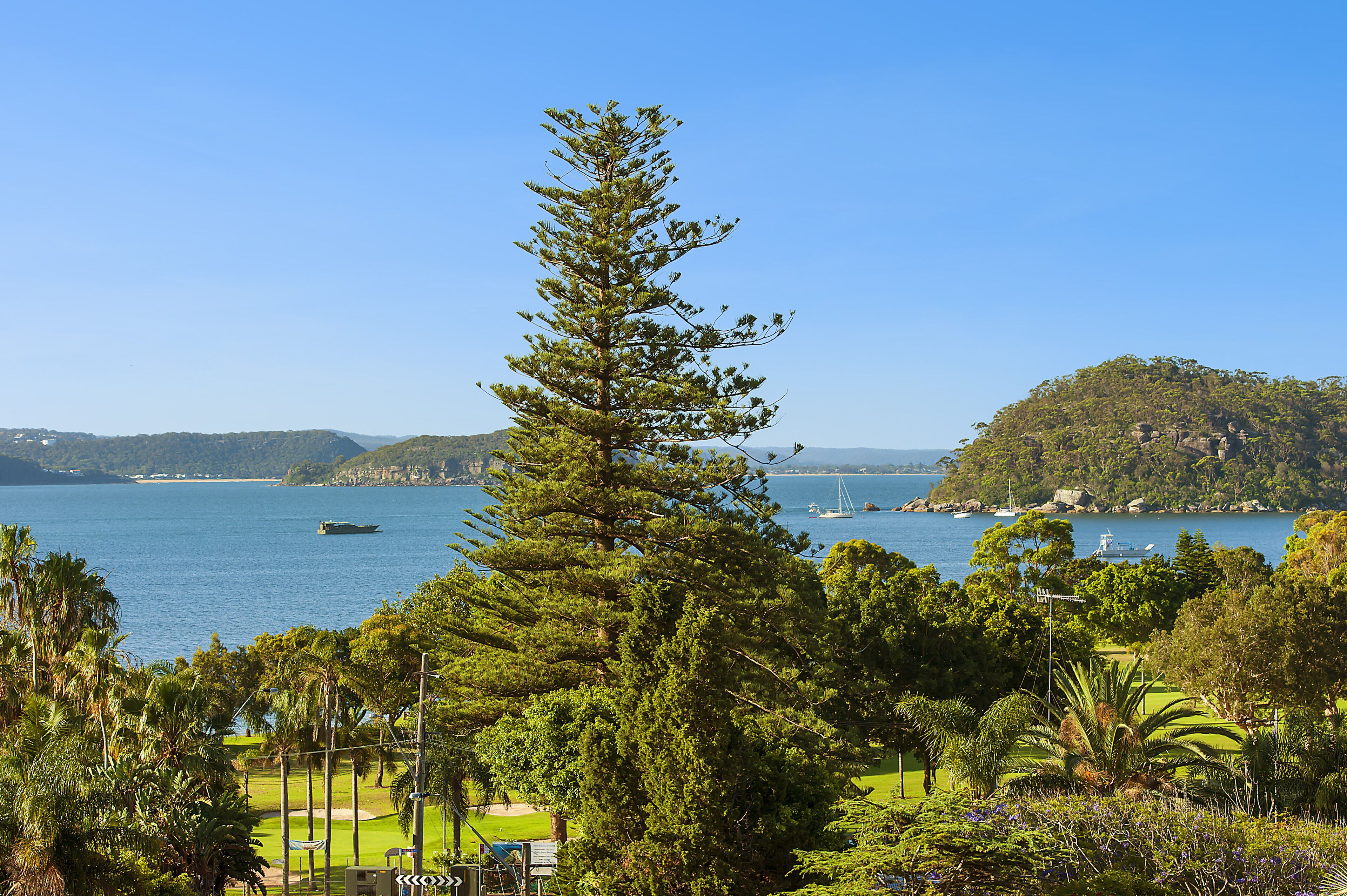 LIFE'S A BEACH at Palm Beach in Sydney's northern beaches. — image 28