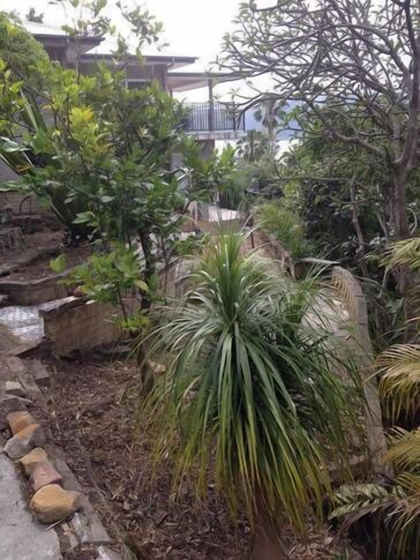 LIFE'S A BEACH at Palm Beach in Sydney's northern beaches. — image 29