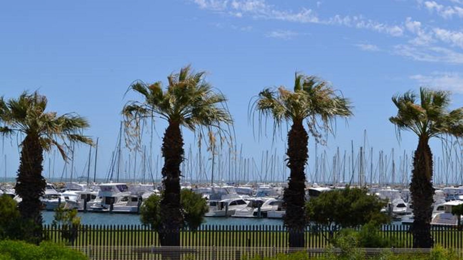 Marine Beach Studio with sea views - Autumn & Winter Sale! — image 8