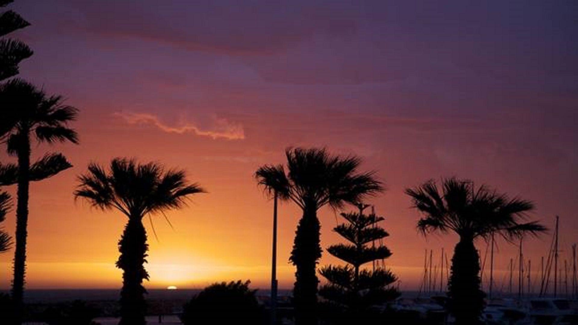 Marine Beach Studio with sea views - Autumn & Winter Sale! — image 10