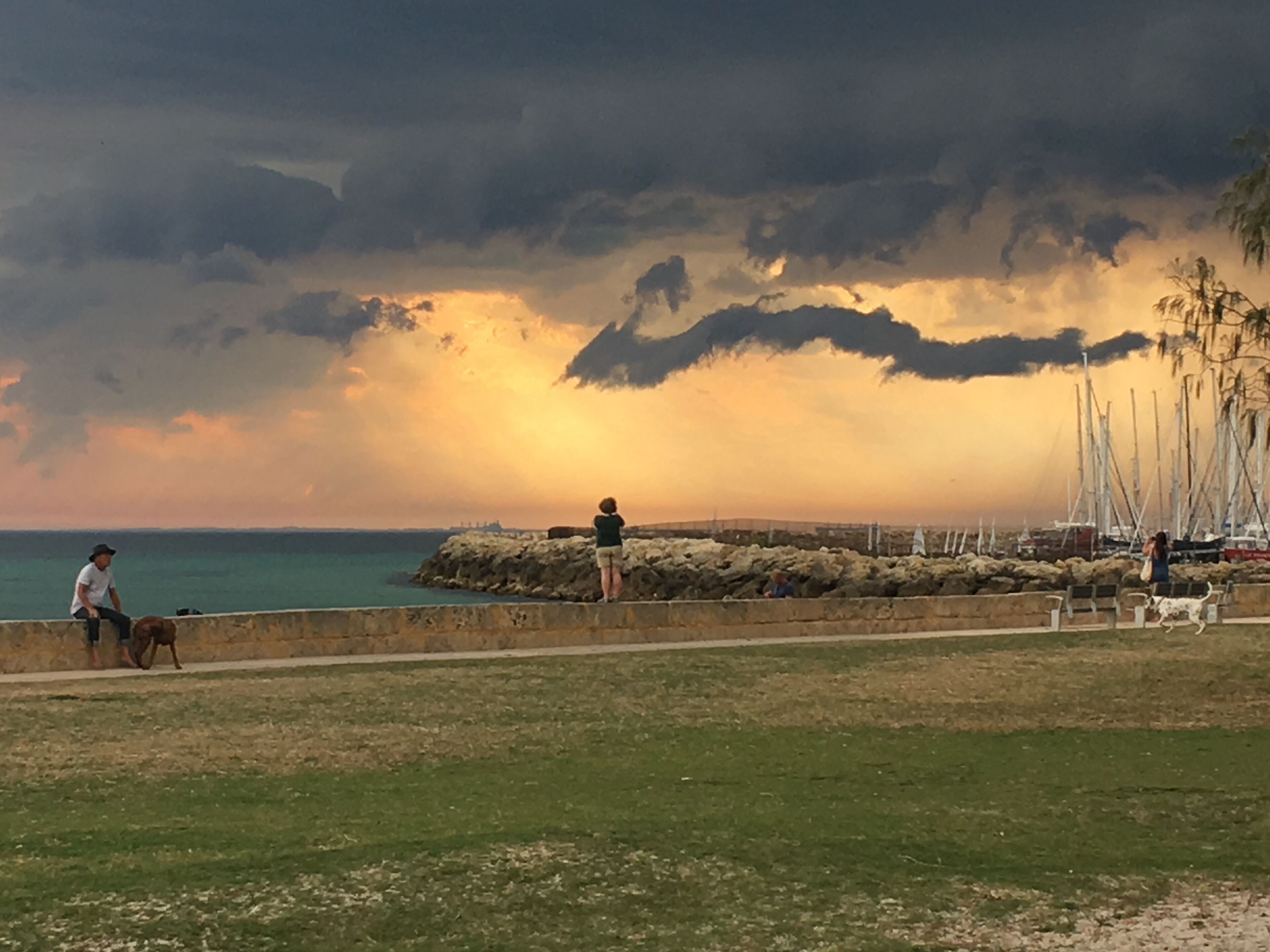 Marine Beach Studio with sea views - Autumn & Winter Sale! — image 28