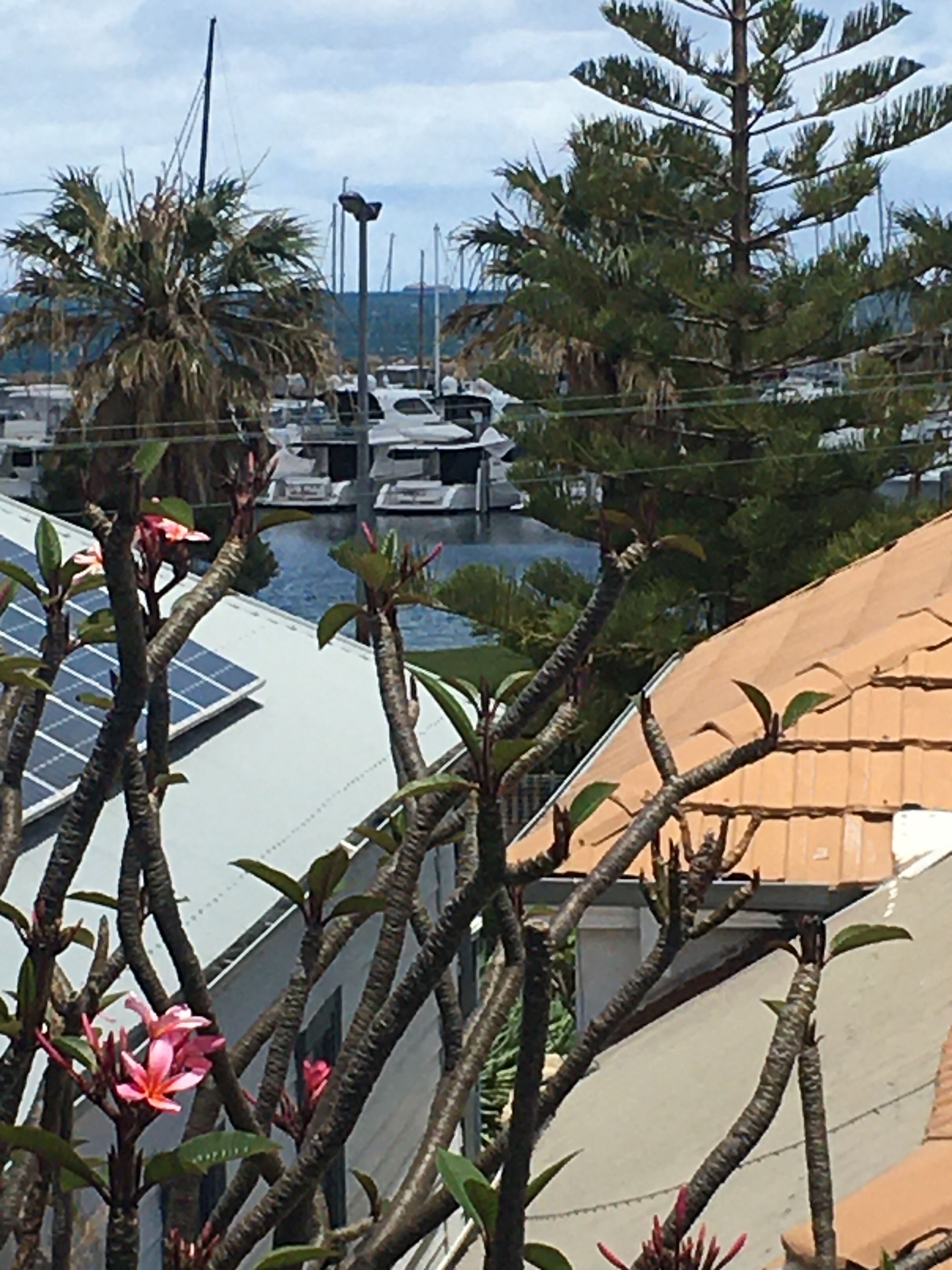 Marine Beach Studio with sea views - Autumn & Winter Sale! — image 4