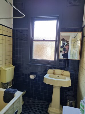 A bathroom with a toilet, sink, and window. - Moonya, the writer's retreat, the 1950s vintage  holiday home and house gallery (Katoomba)