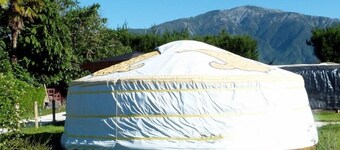 Yurt - Wacky Stays - six UNIQUE rentals in Kaikoura