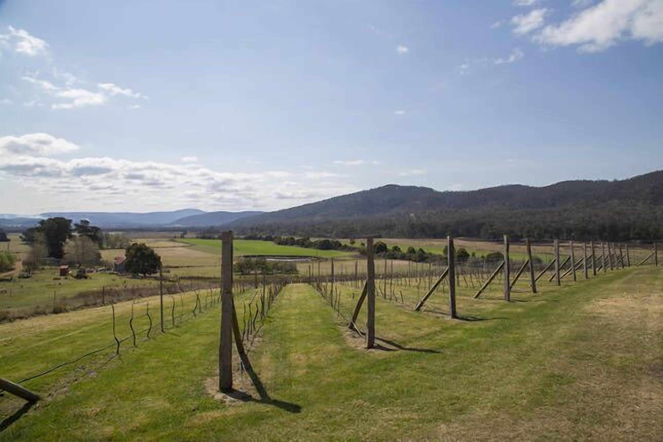 The Storekeeper's Boutique Accommodation — image 21