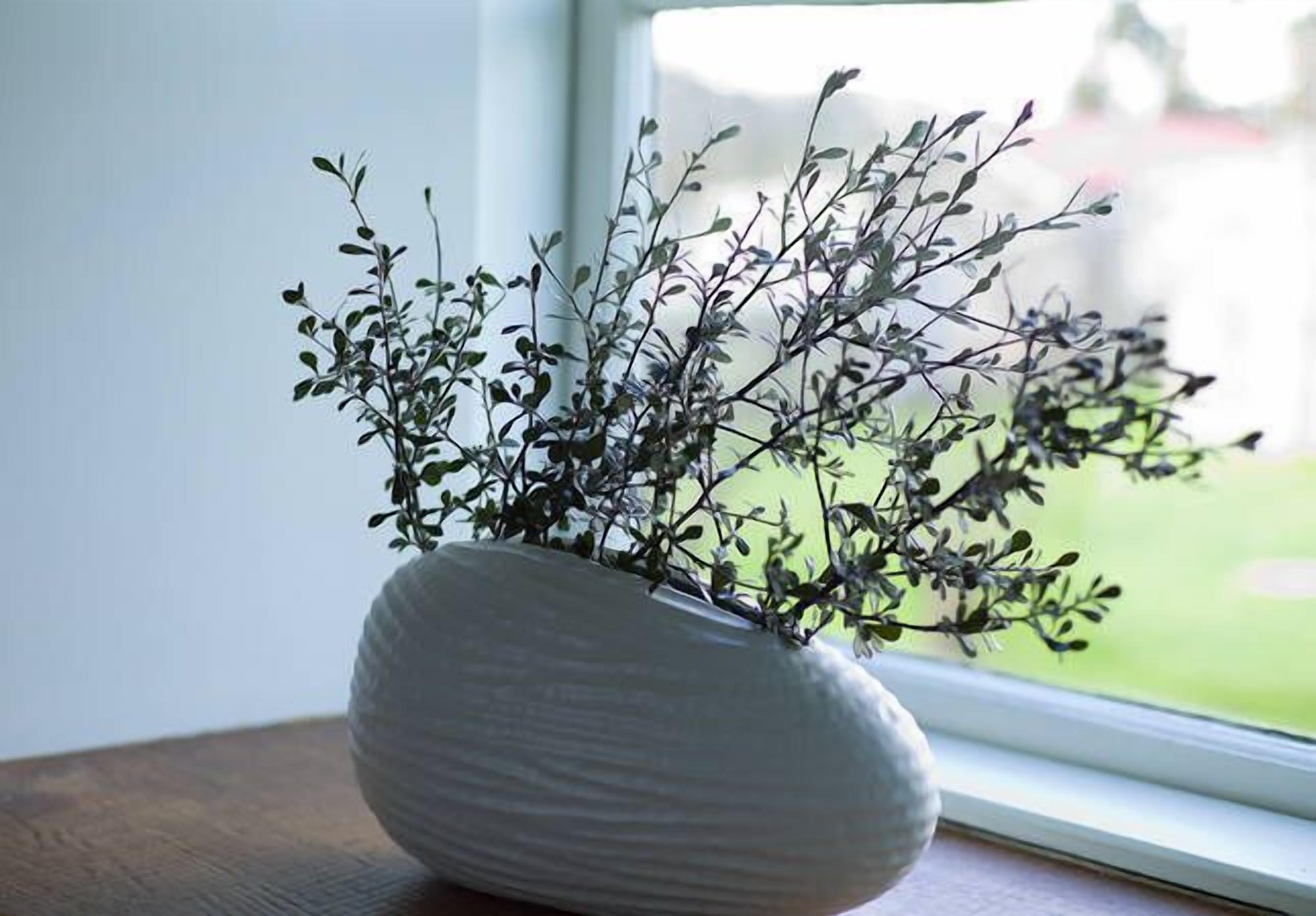 The Storekeeper's Boutique Accommodation — image 23