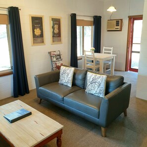 Smart TV, fireplace, DVD player, books