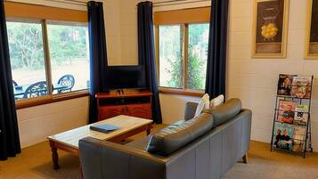 Smart TV, fireplace, DVD player, books