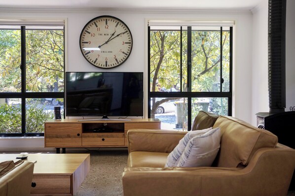 TV connectée, cheminée, lecteur de DVD, livres