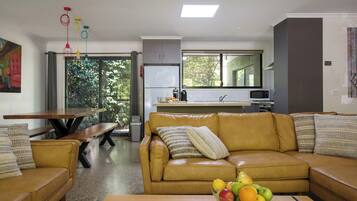 Smart TV, fireplace, DVD player, books