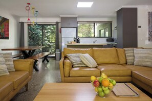 TV connectée, cheminée, lecteur de DVD, livres
