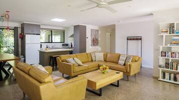 Smart TV, fireplace, DVD player, books