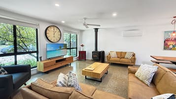 TV connectée, cheminée, lecteur de DVD, livres