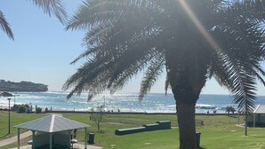 A grassy area with a gazebo, a palm tree, and a view of the ocean. - Coastal Calm at Bronte Beachside Escape (Bronte)