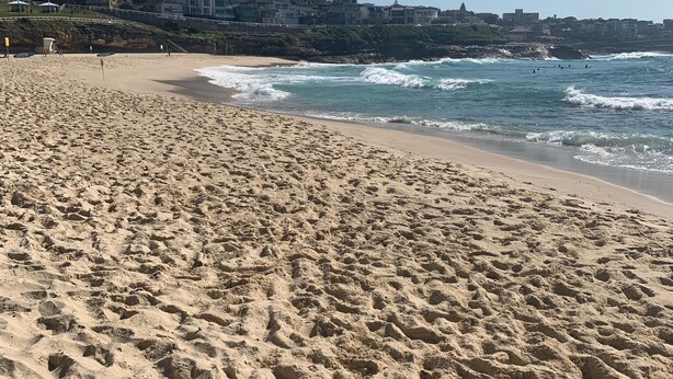 A sandy beach with footprints leading to the water, a clear sky, and buildings in the background. - Coastal Calm at Bronte Beachside Escape (Bronte)