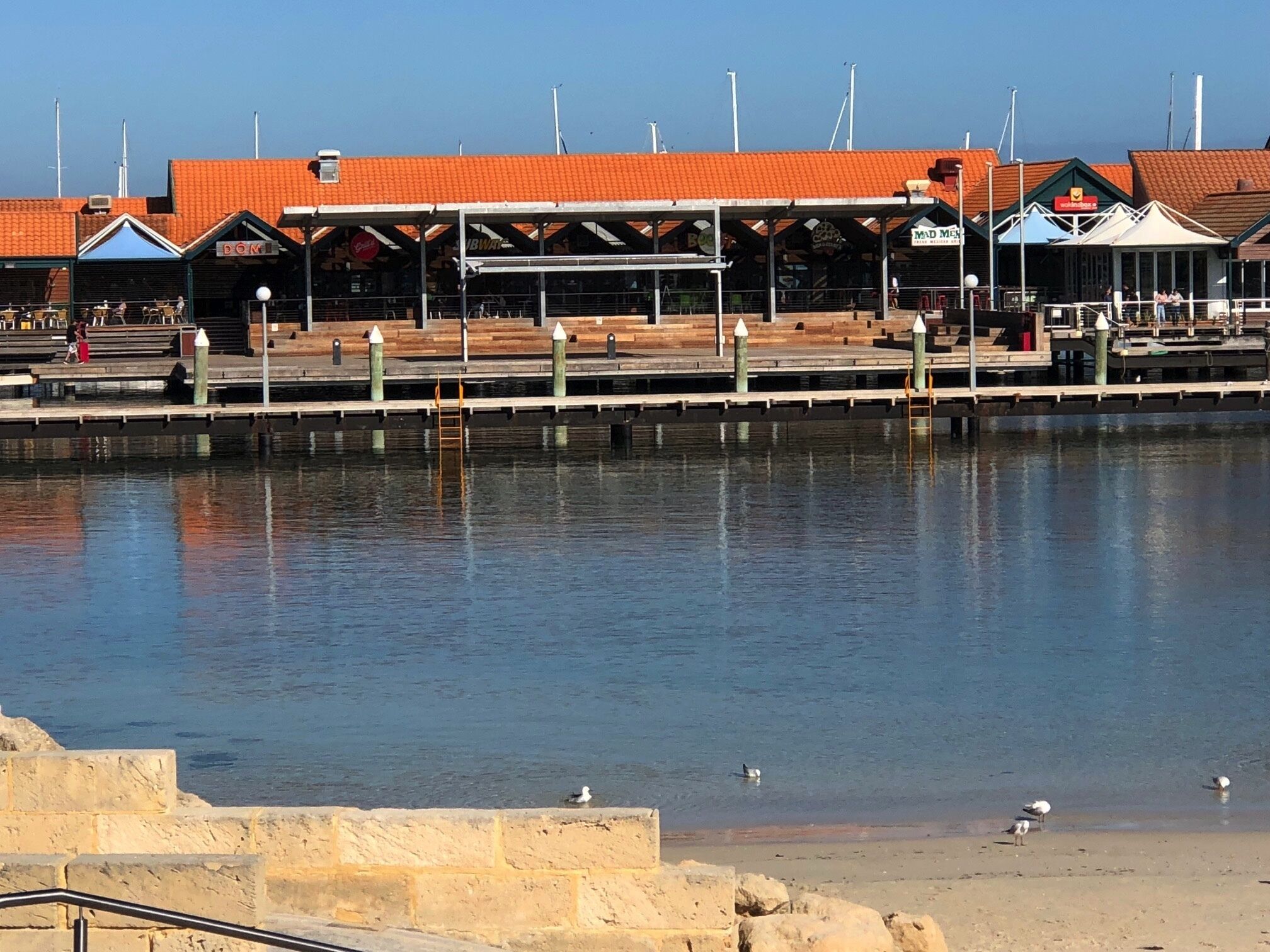 COASTAL PARADISE NEAR HILLARY'S MARINA & ROTTNEST ISLAND — image 6