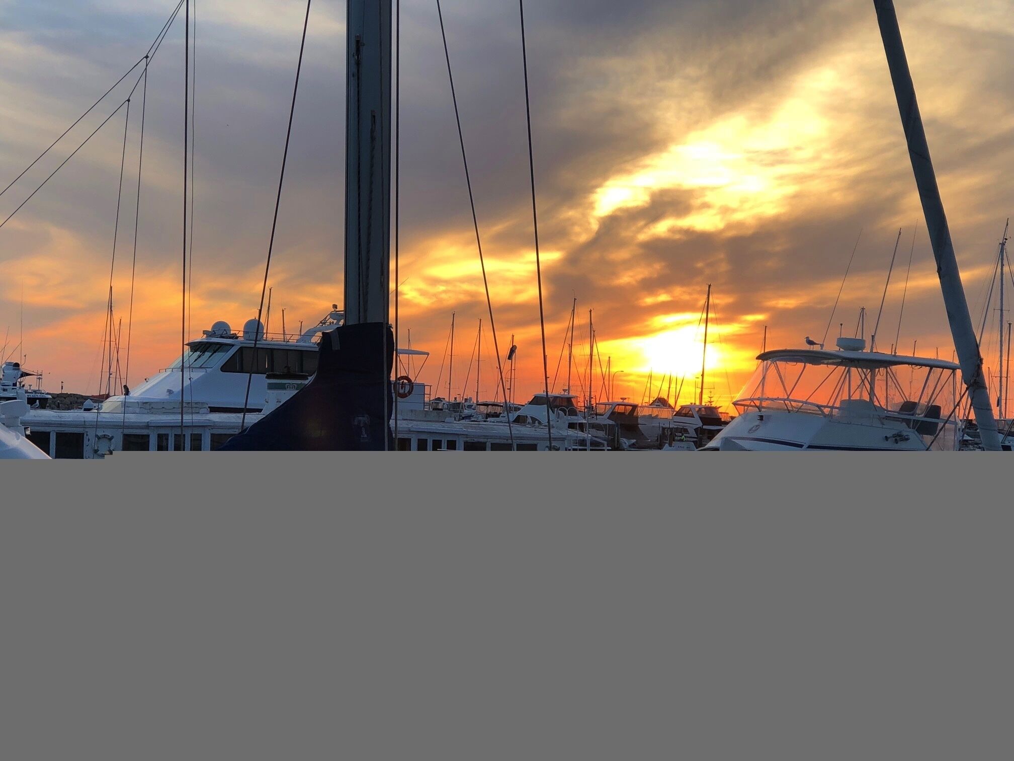 COASTAL PARADISE NEAR HILLARY'S MARINA & ROTTNEST ISLAND — image 9