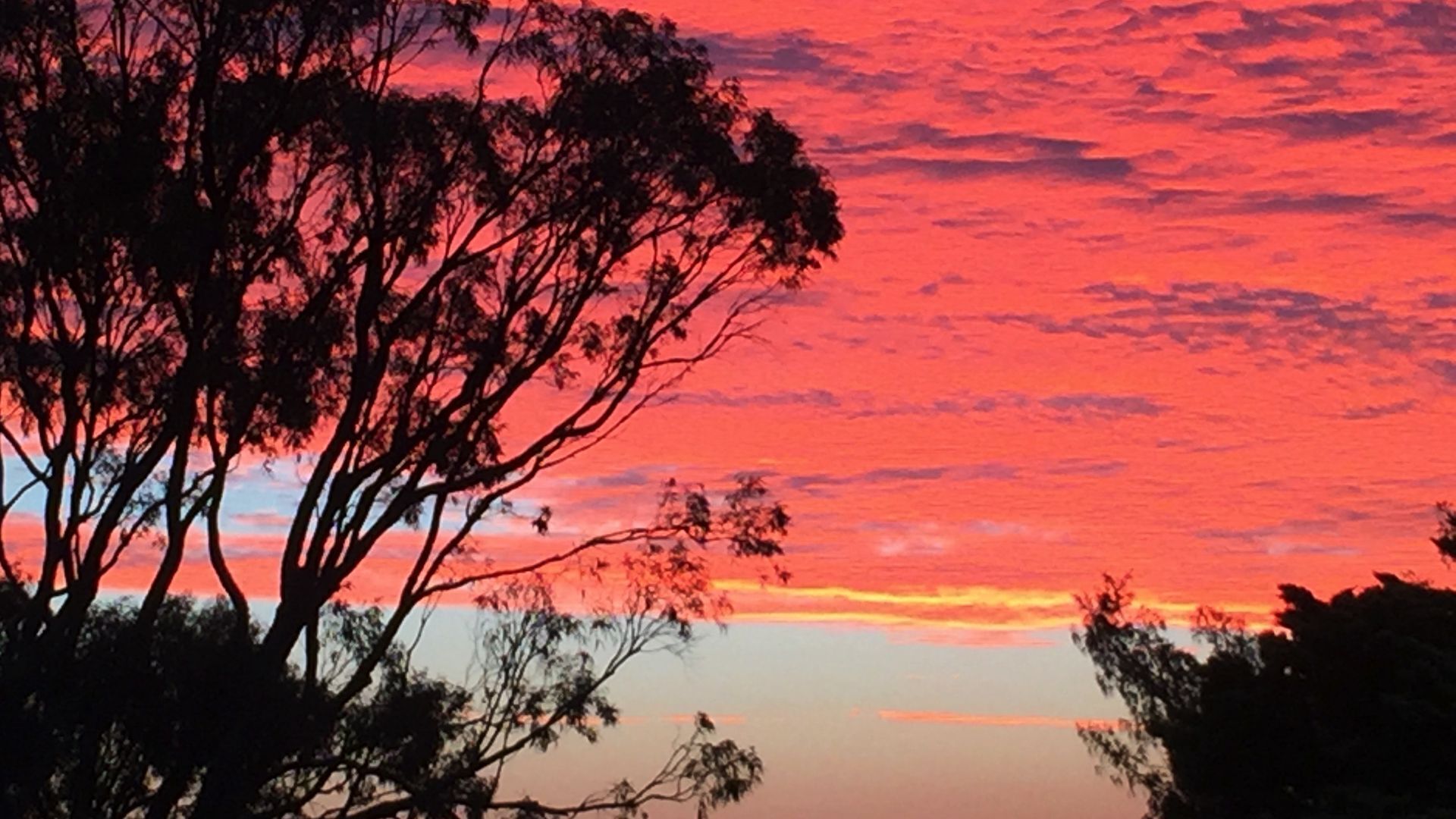 COASTAL PARADISE NEAR HILLARY'S MARINA & ROTTNEST ISLAND — image 4