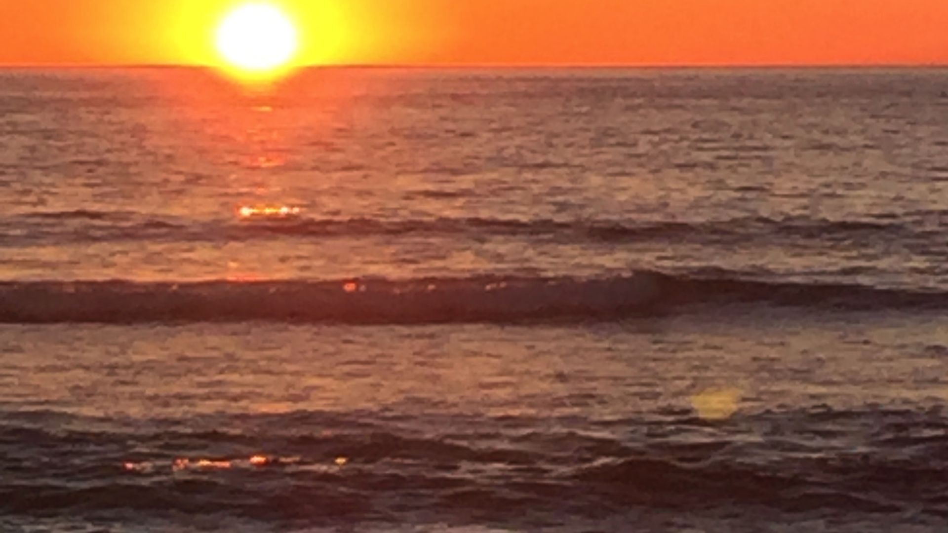 COASTAL PARADISE NEAR HILLARY'S MARINA & ROTTNEST ISLAND — image 19