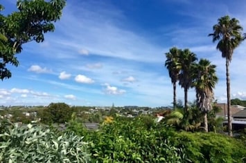 Backyard View