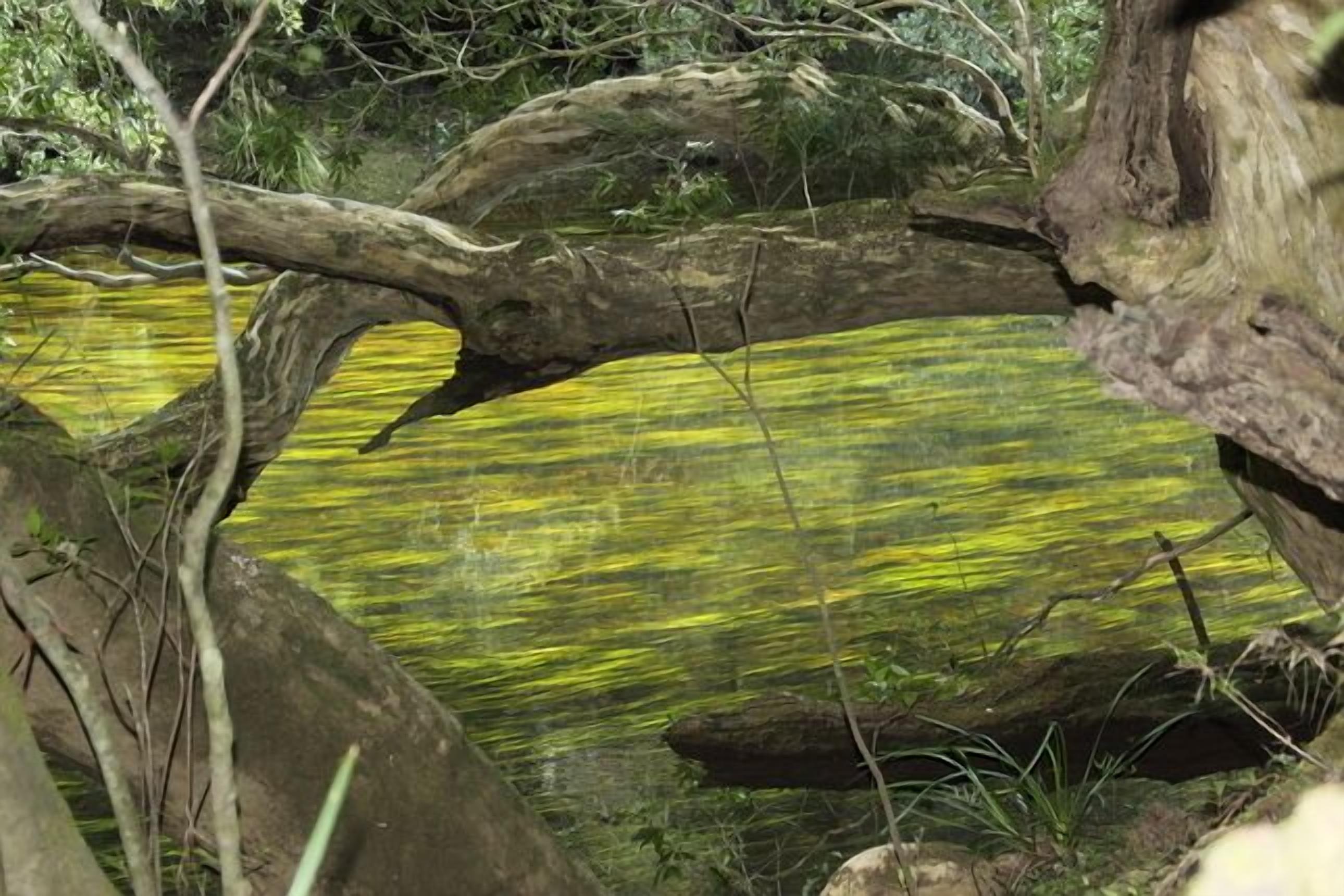 Clyde River Retreat (Didthul Cot)